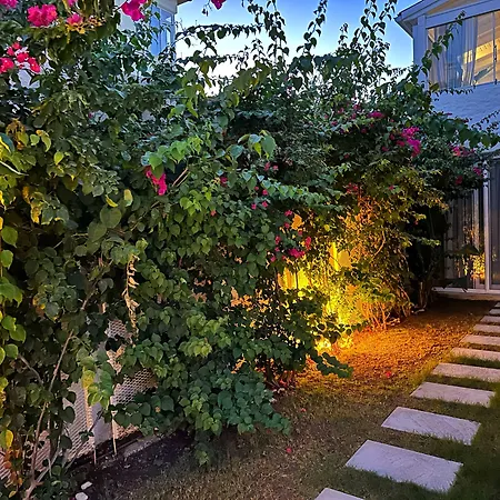 Hotel L'etro Maison Alacati 3*